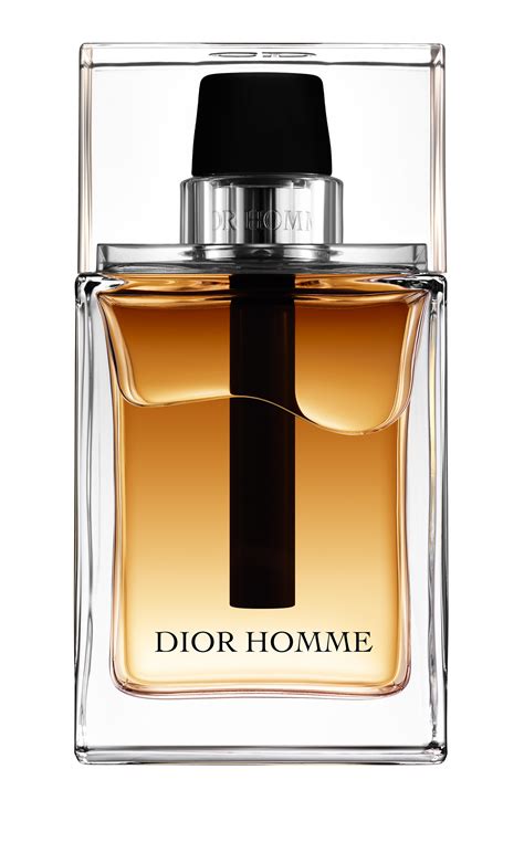 paire de dior homme